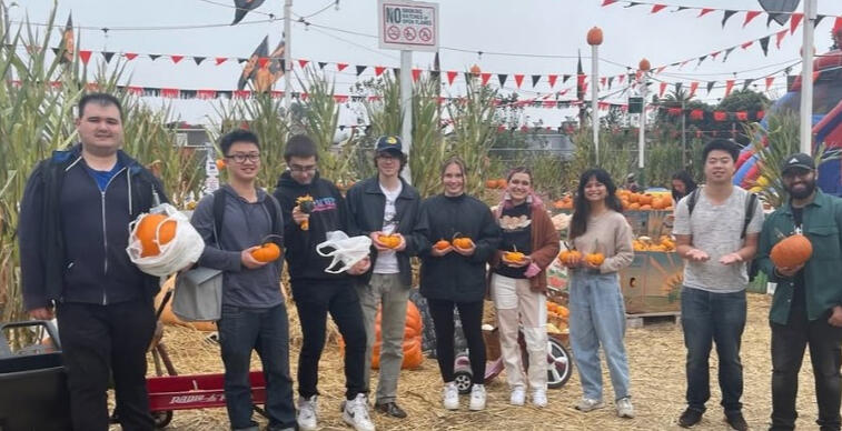 A mix of San Francisco State University students and alumni at a pumpkin patch.